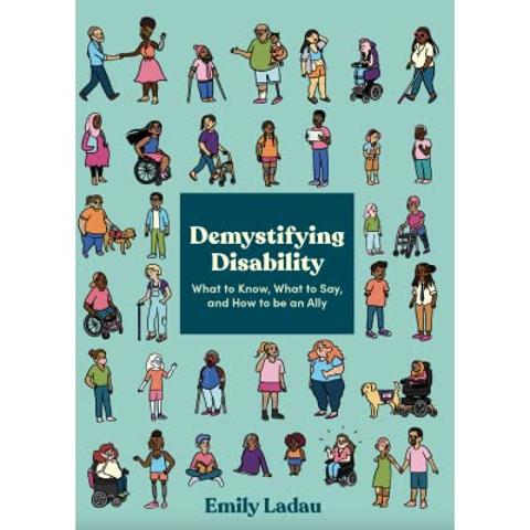 demystifying disability book cover