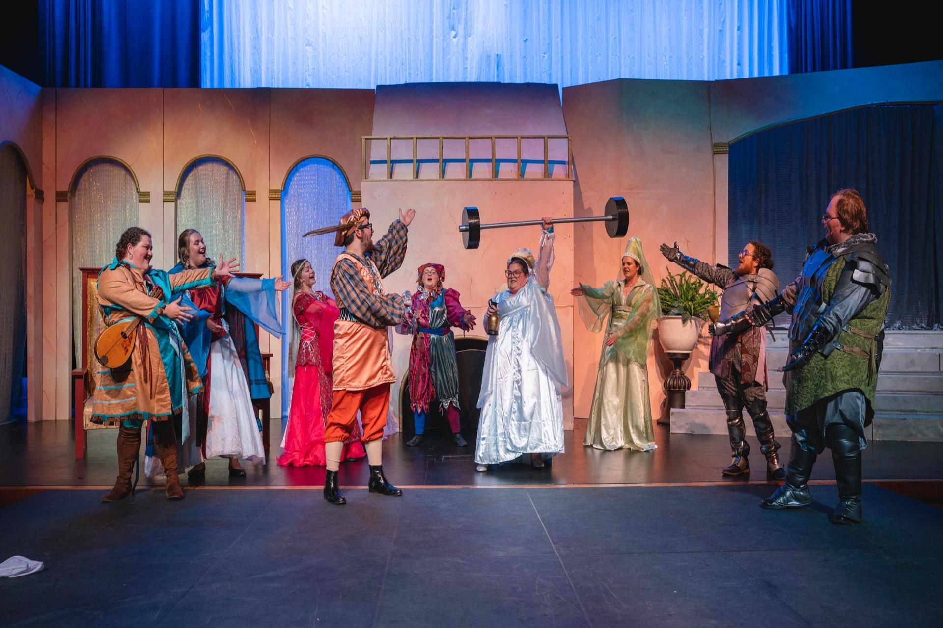 once upon a mattress