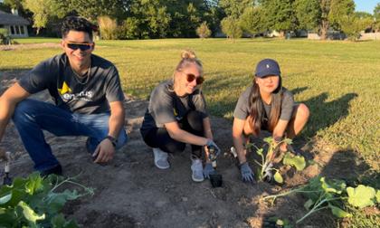 Community garden 2