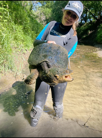 Twirler with turtle