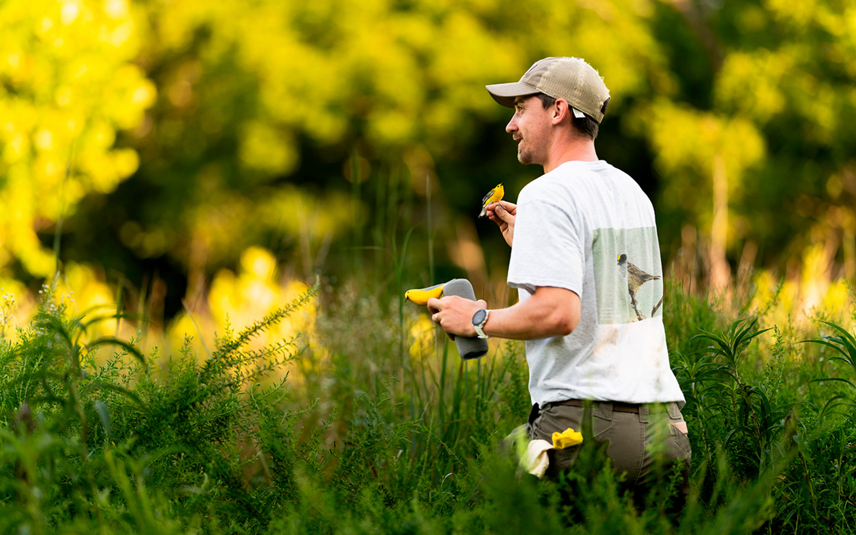 Student stands in a field of tall green vegetation holding a small yellow bird, with a blurred yellow-green landscape behind him.