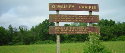O'Malley Prarie