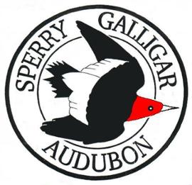 sperry-logo 270w