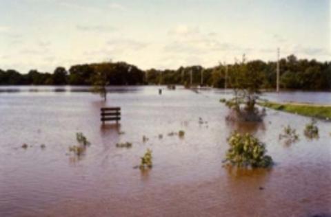 robb-prairie-flooded 480w