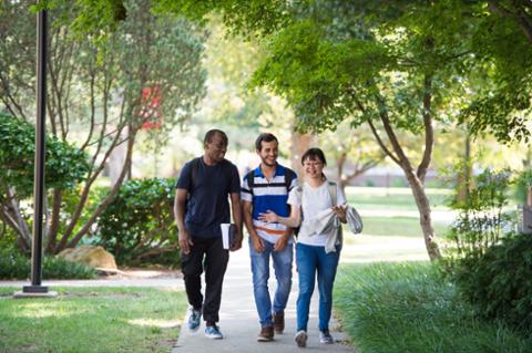 Admissions