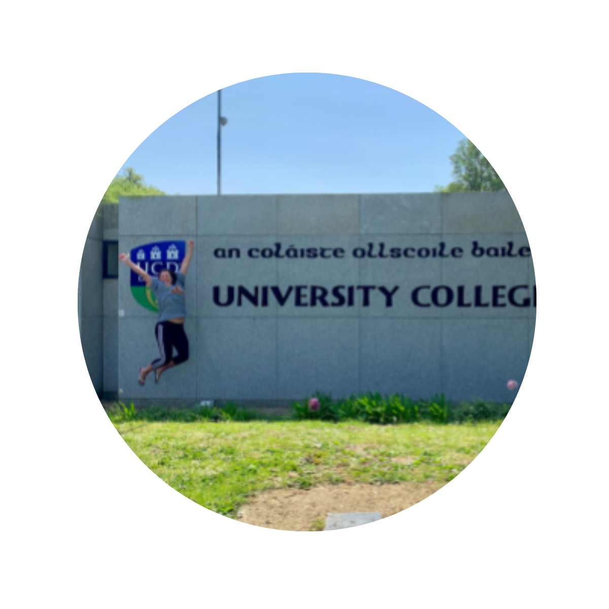 ucd collapse