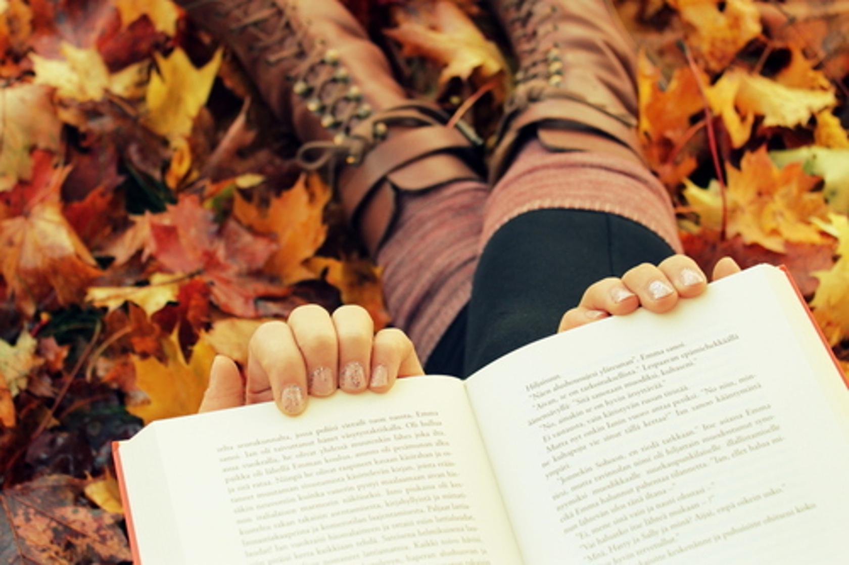 Books in autumn