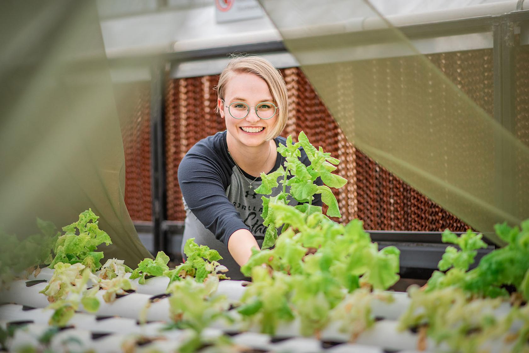 Aquaponics