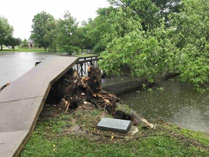 Bridge at lake