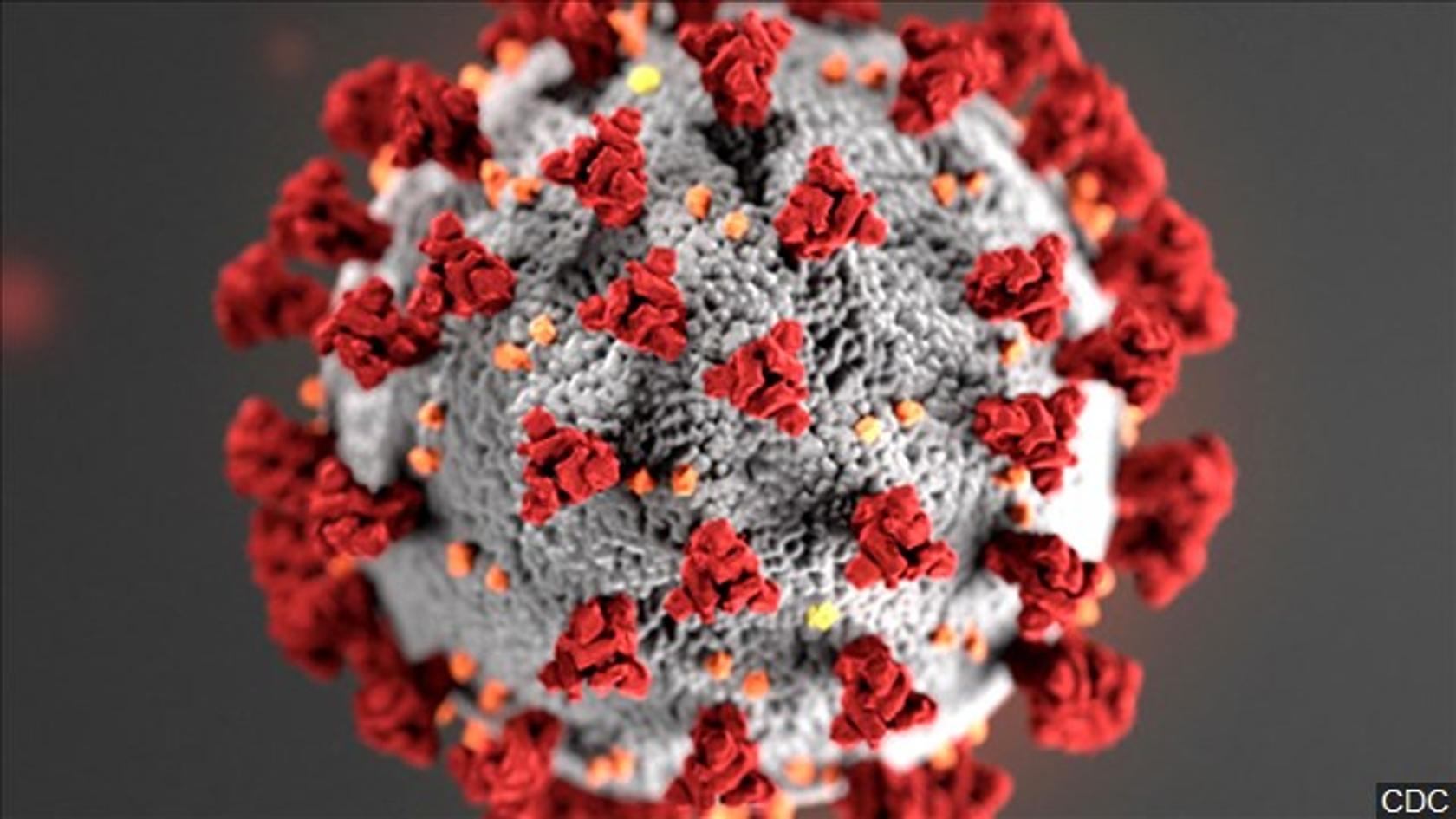 Coronavirus