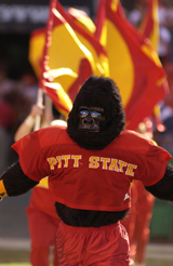 Game Day Recycling Pic